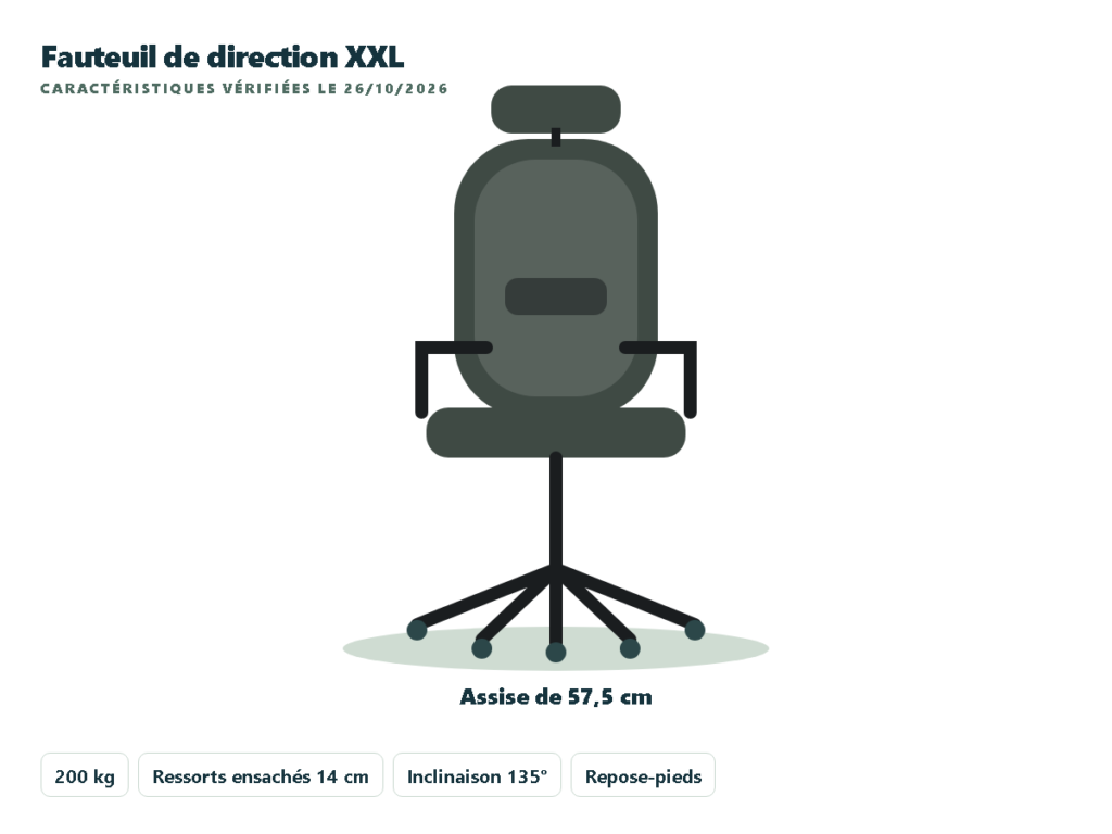 EXCEBET fauteuil de bureau XXL 200 kg